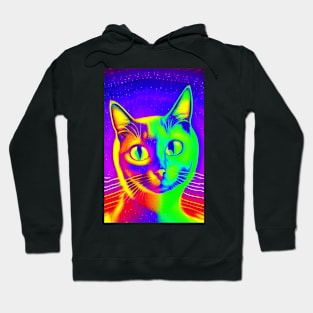 Dream cats Hoodie